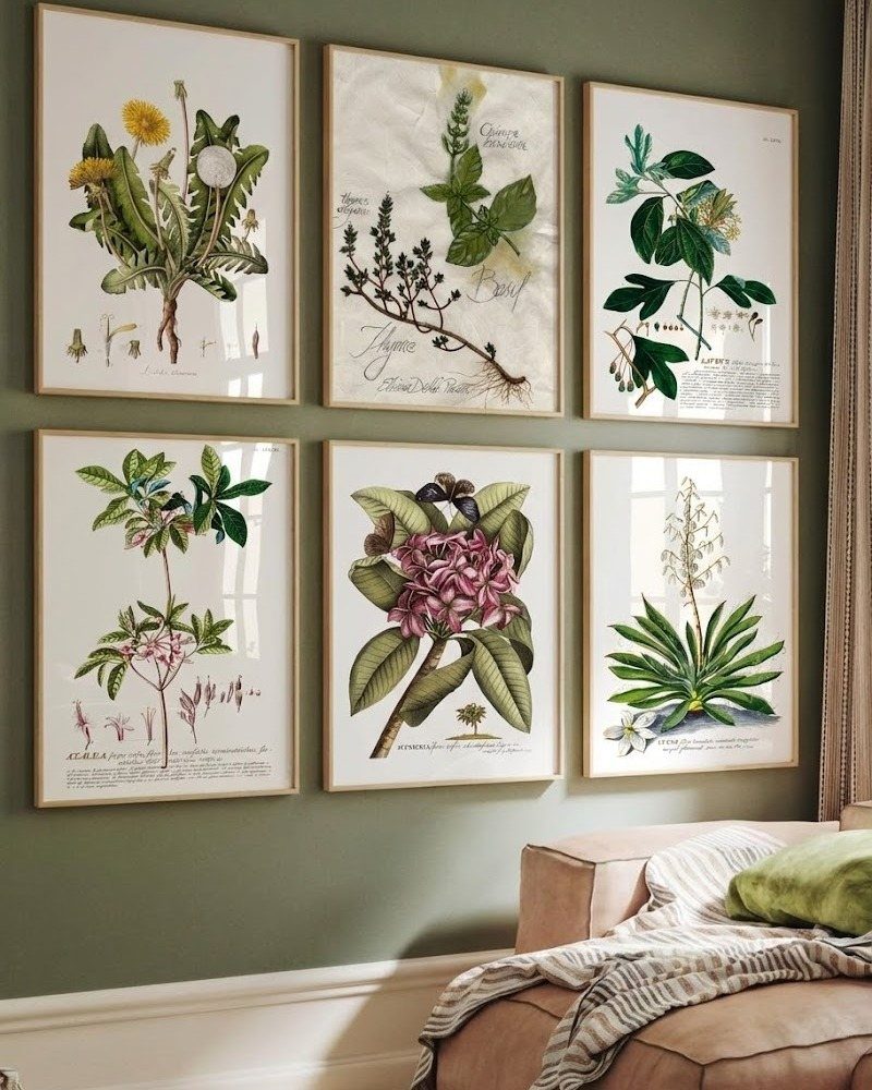 Six botanical art prints in light wood frames hanging above a tan couch.