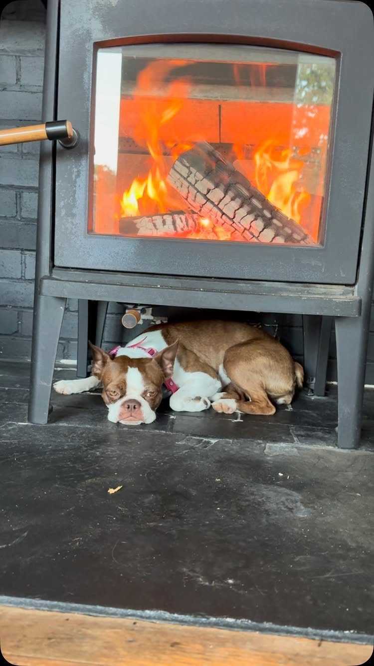 Black wood-burning stove with a fire and a dog resting underneath it.