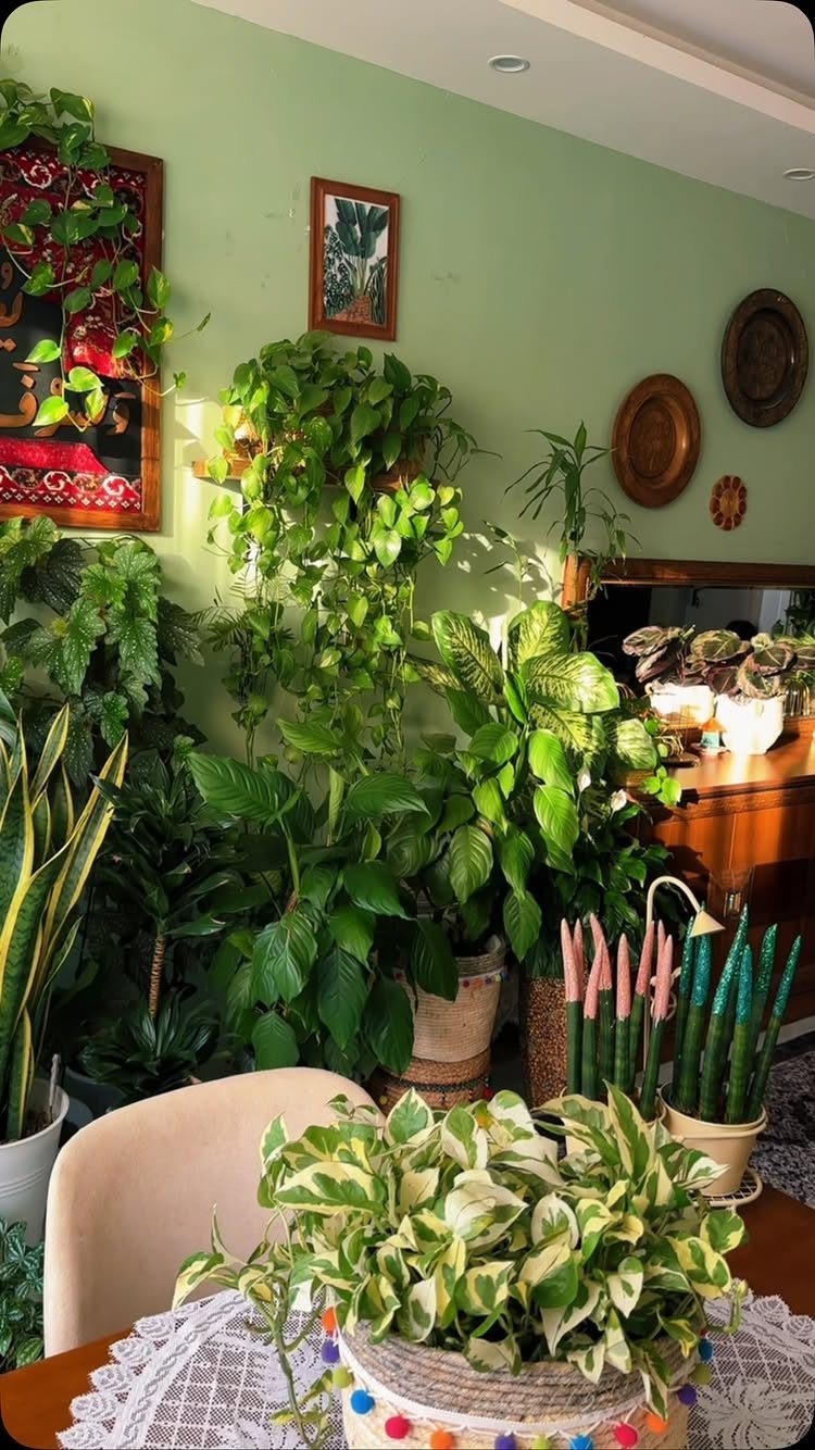 Lush green houseplants filling a room with light green walls and framed art.