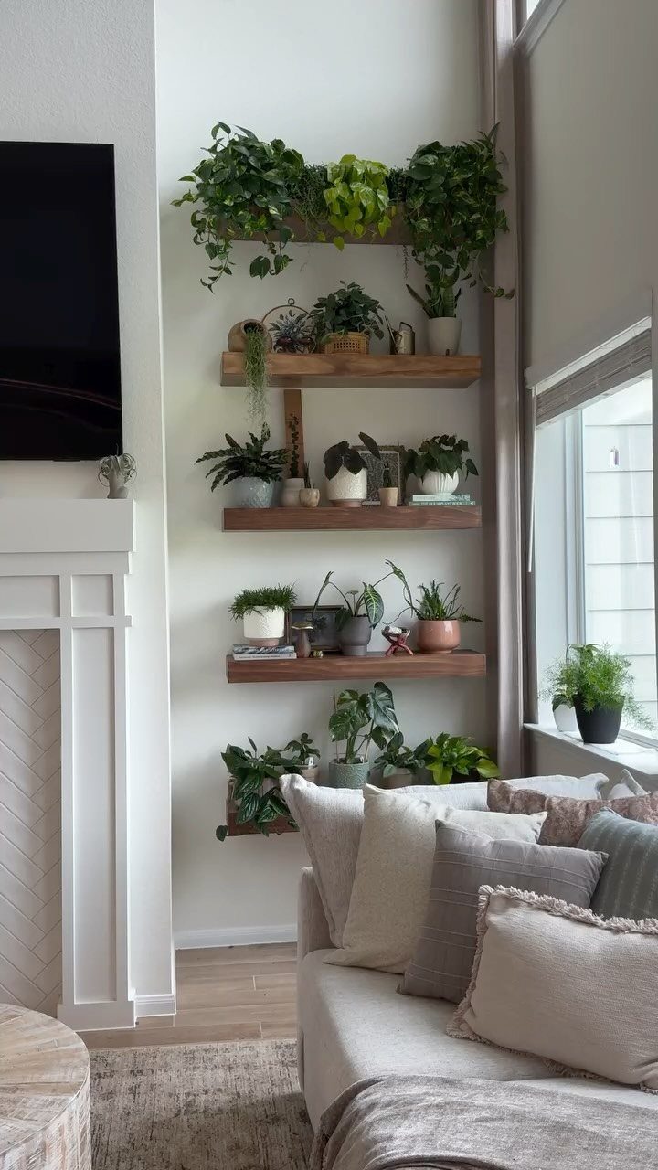 Living room corner with a neutral sofa and wooden shelves holding green plants.