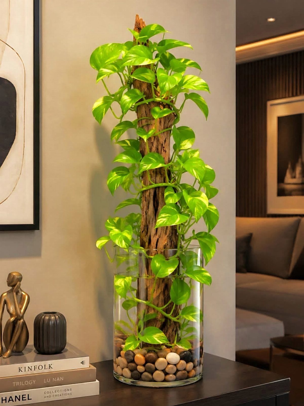 Green climbing plant in a glass vase with pebbles on a dark table