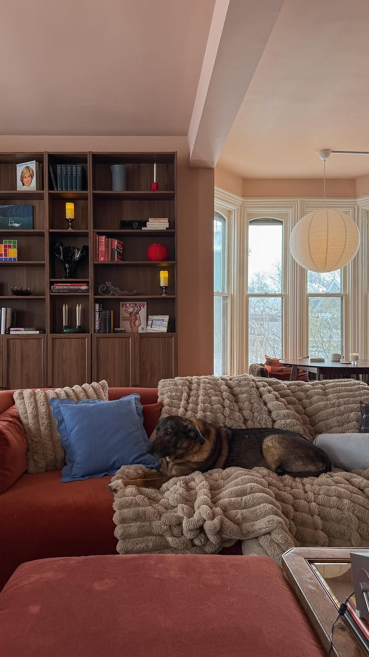 Built-in wooden wall bookcase behind a rust-colored sofa with a sleeping dog.