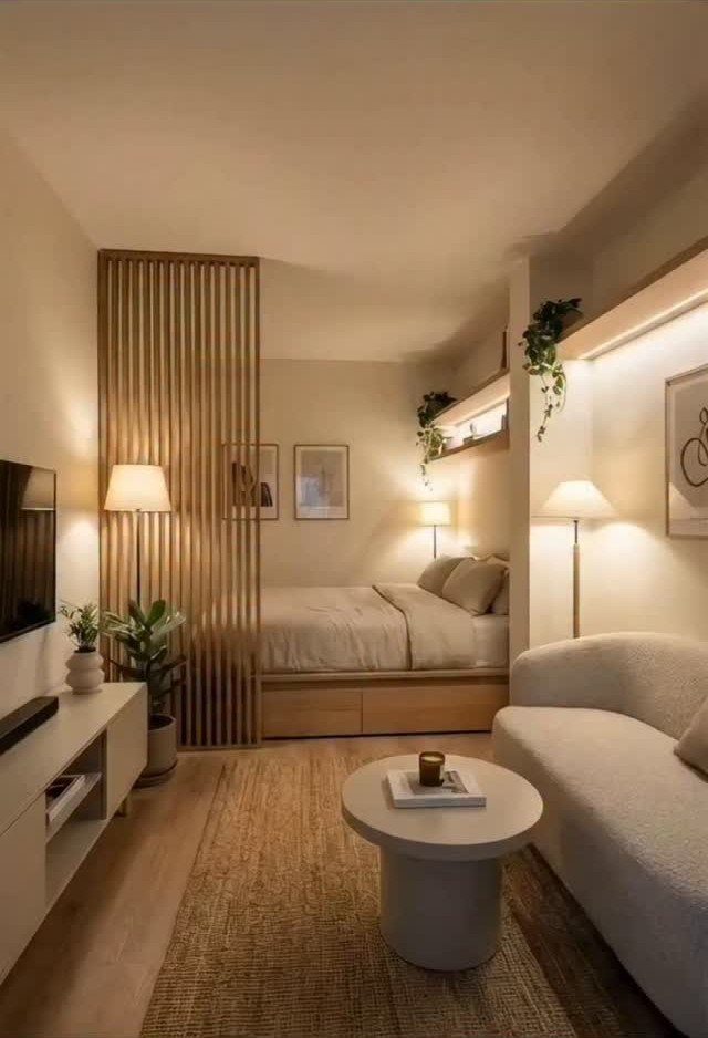 Small studio living room with a wooden slat partition separating the bed area.