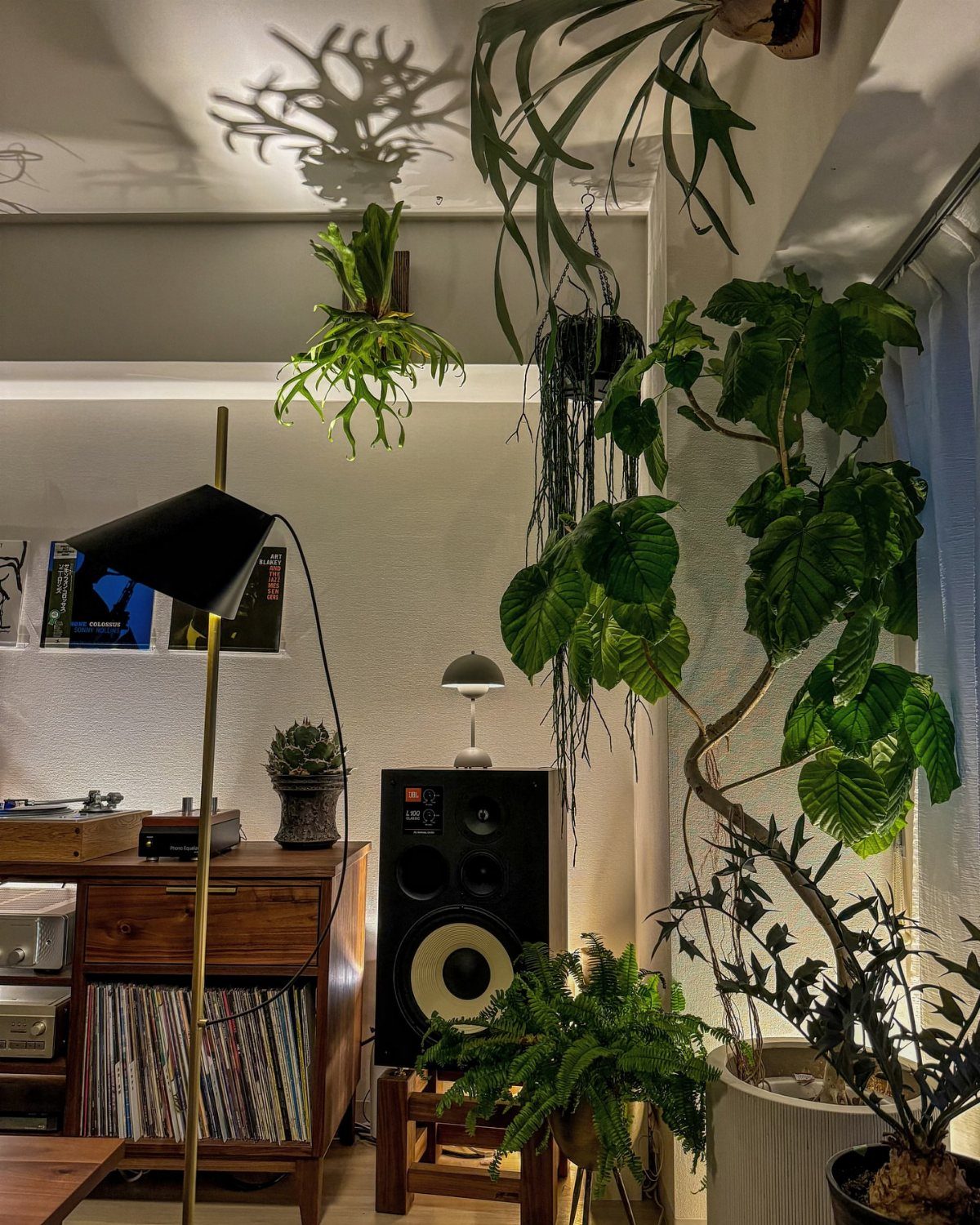 White living room walls surrounded by lush green plants and mid-century modern furniture.