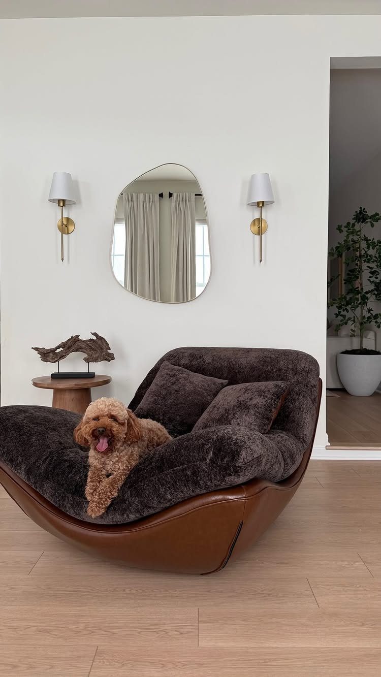 Brown curved accent chair with a dog resting on dark grey cushions.