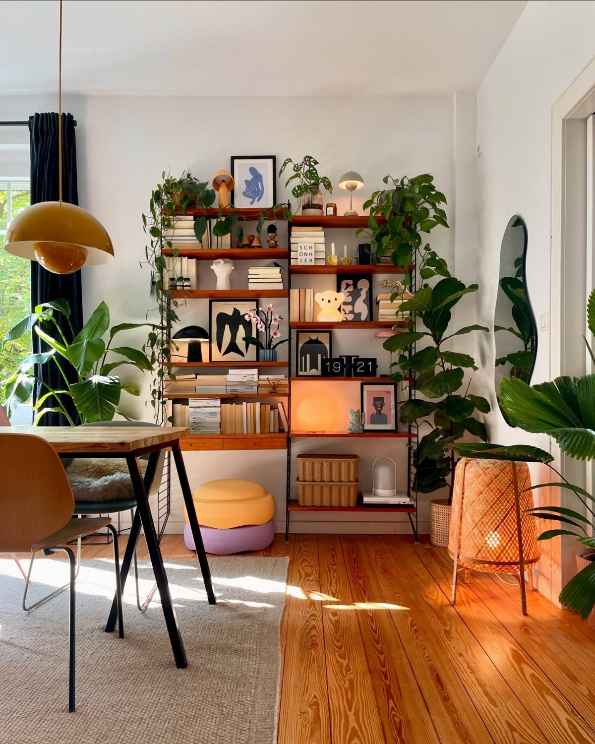 Open wooden shelving units filled with books and plants in a sunny living room.