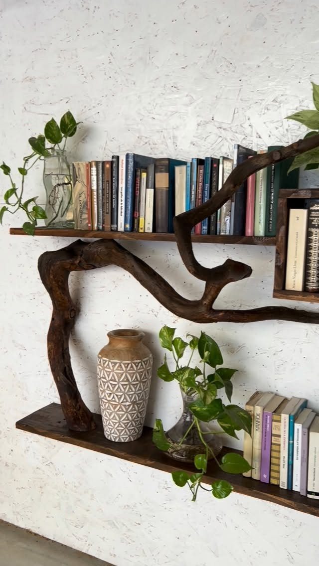 Rustic wooden floating shelves with a natural branch holding books and green plants.