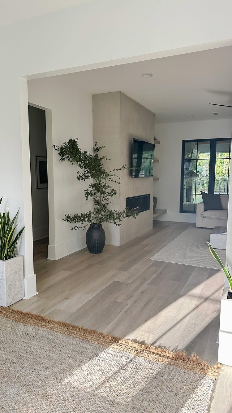 Tall green plant in a dark vase standing in a modern living room