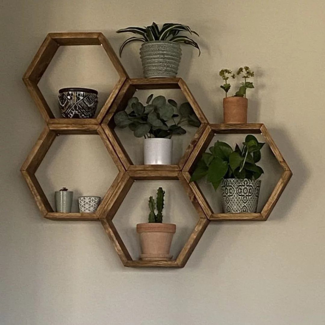 Wooden hexagonal wall shelves holding various potted green plants on a beige wall