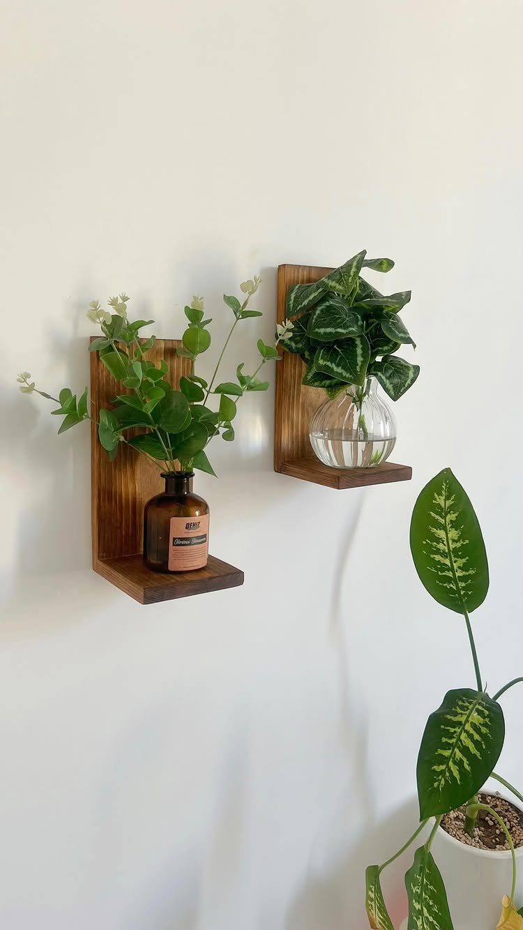 Two wooden floating shelves on a white wall holding small green plants in vases.