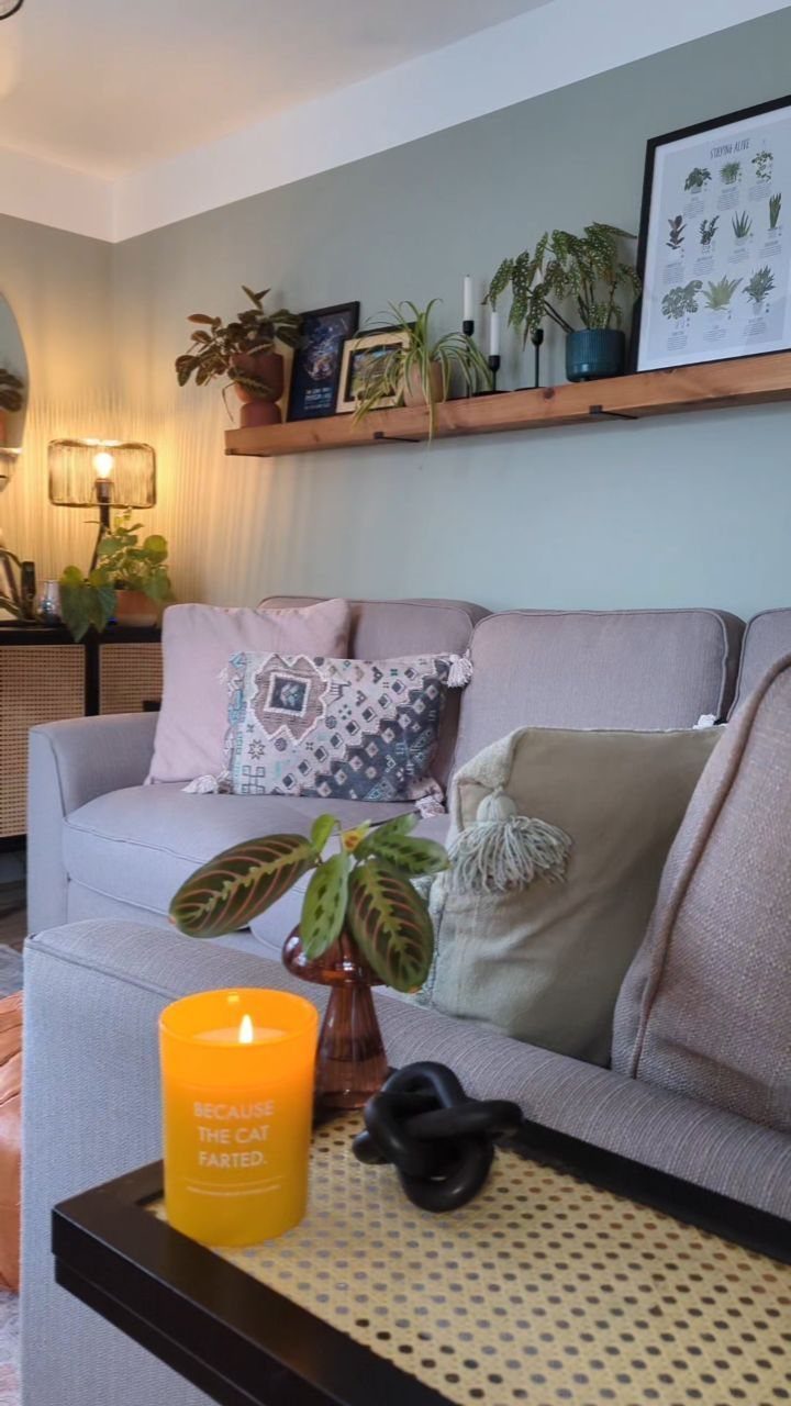 Grey sofa with colorful pillows and a wooden shelf with plants above it.